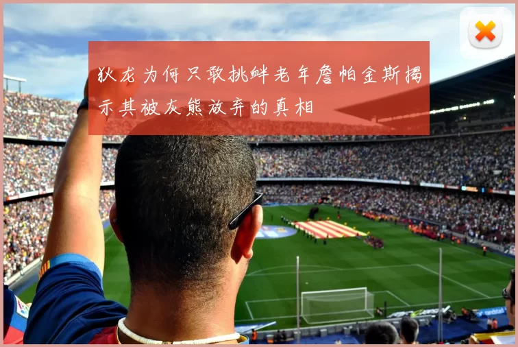 狄龙为何只敢挑衅老年詹帕金斯揭示其被灰熊放弃的真相